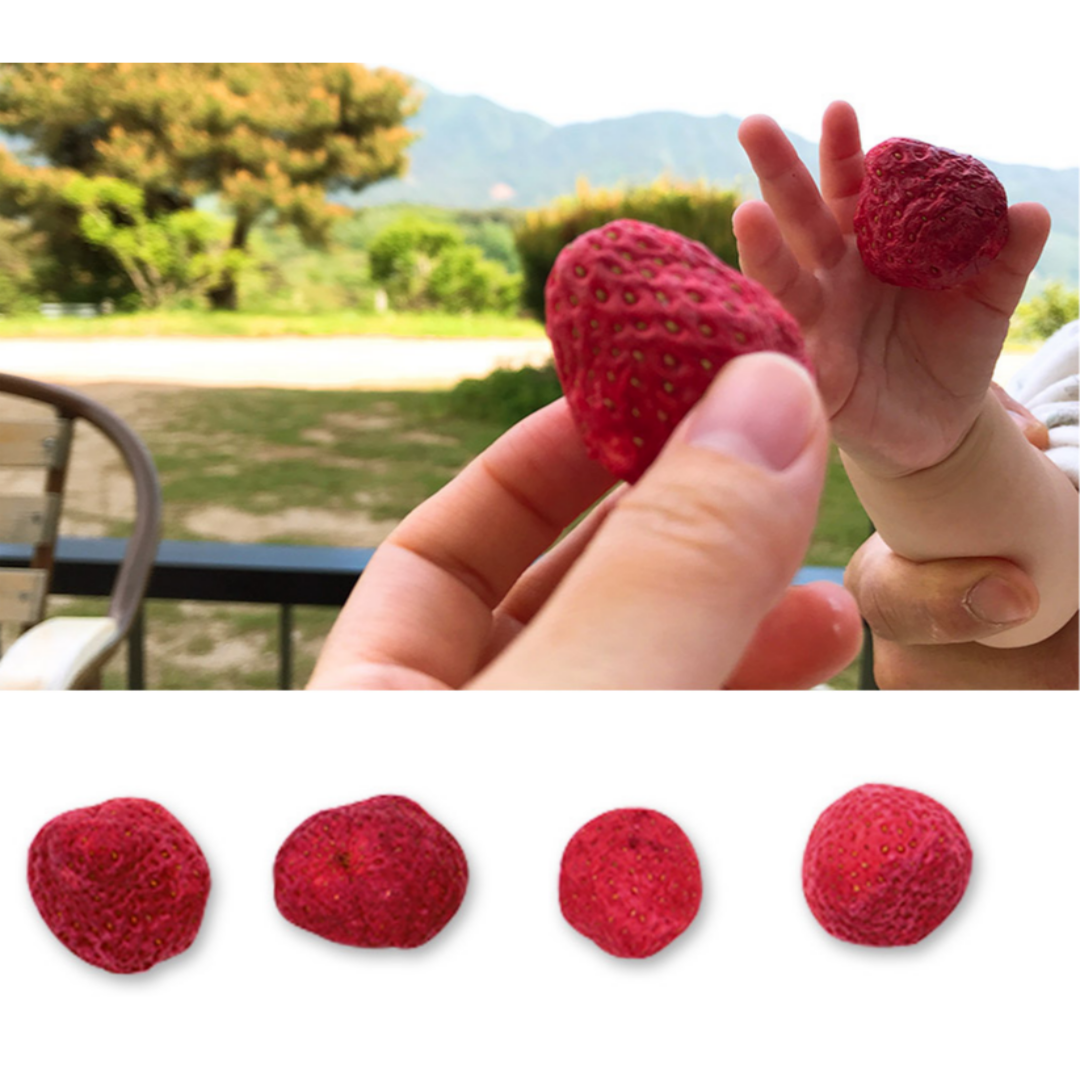 Strawberry Freeze-Dried Fruits