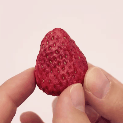 Ecomom Freeze-Dried Fruits